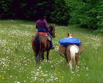 rutas a caballo asturias,rutas a caballo en asturias picos de europa.hipico,hipica